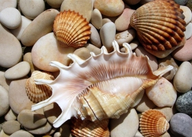 Computer Desktop Wallpapers  Collection 3