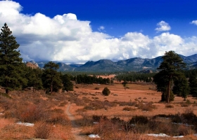 ภาพธรรมชาติ-น่าสะสม 7