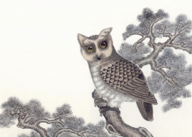 ภาพวาดภู่กันจีน สวยงามมาก ชุด สัตว์นานาชนิด 3