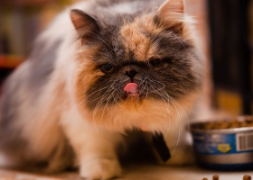 HD Pack Beautiful Wallpapers 6