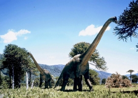 Amazing Set of Dinosaurs Wallpapers 2