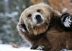 National Geographic  Collection WallPapers  23