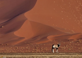 New National Geographic Wallpapers 8