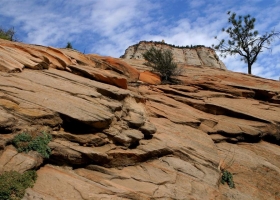 ภาพธรรมชาติ-น่าสะสม 1