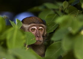 National Geographic  Collection WallPapers 14