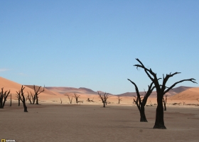 Beautiful Desert Wallpapers  1