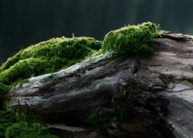 Best Real World Full HD  Wallpapers 3