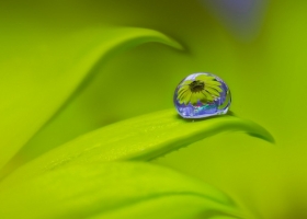 เงาในหยดน้ำ