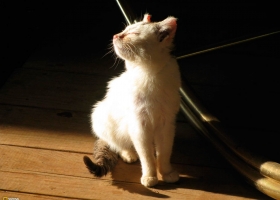 National Geographic  Collection WallPapers 7