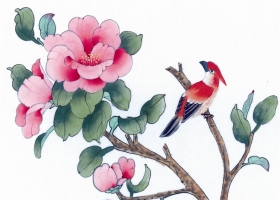 ภาพวาดภู่กันจีน สวยงามมาก ชุดนกกับดอกไม้ 1