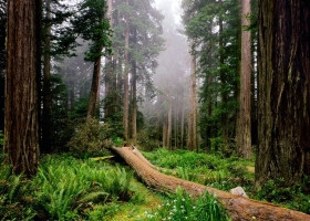 National Parks Scenes HQ Wallpaper 1