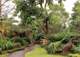 สายน้ำในสวน