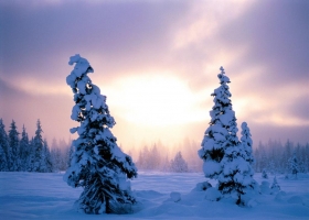 Amazing Snow and Arctic Landscapes Wallpapers 7