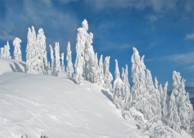 Beautiful Winter Wallpapers 7