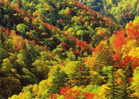 Incredible Nature Full HD Wallpapers 5