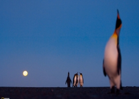 National Geographic Wallpapers Collection 2009 -8