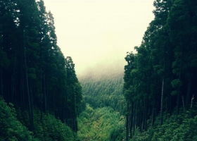 HD Pack Beautiful Wallpapers 16