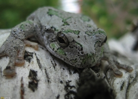 National Geographic  Collection WallPapers  16