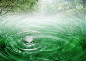 ท้องฟ้า ทะเล ต้นไม้ ล้วนธรรมชาติสร้าง