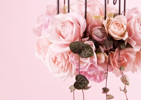 Beautiful Flowers Wallpapers 6