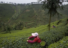 National Geographic Collection WallPapers 55