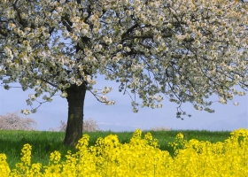 ธรรมชาติแสนงาม