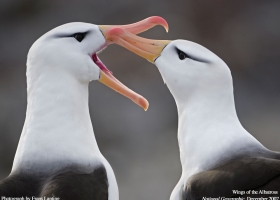 National Geographic Wallpapers Collection 2007 -3