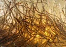 National Geographic  Collection WallPapers 11