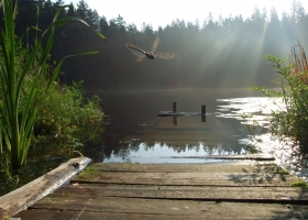 National Geographic  Collection WallPapers 2