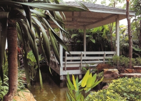 เติมธรรมชาติให้บ้าน