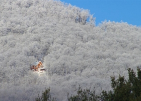 Wonderful Nature Wide Screen Wallpapers 14