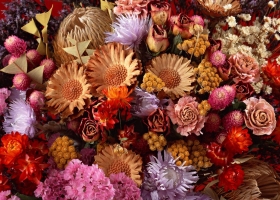 Beautiful Flowers Wallpapers 26