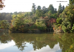 Japanese Parks In Kyoto Wallpapers