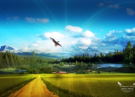 Widescreen HD Wallpapers